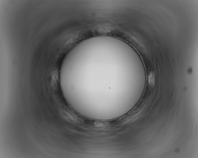 X0000099481299200805301610