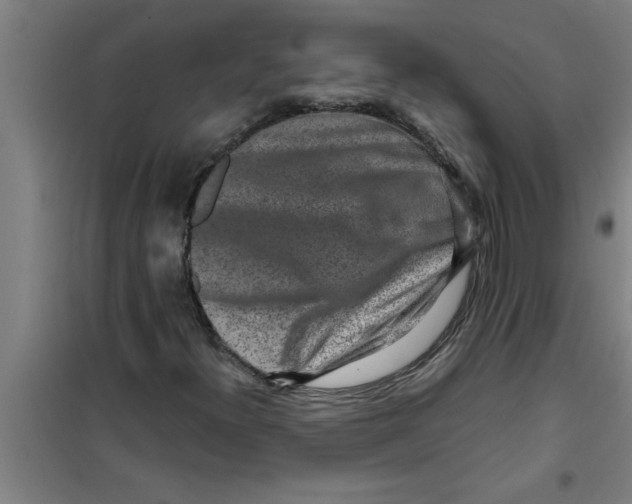 X0000099481300200805301610