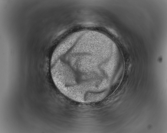 X0000099481301200805301610