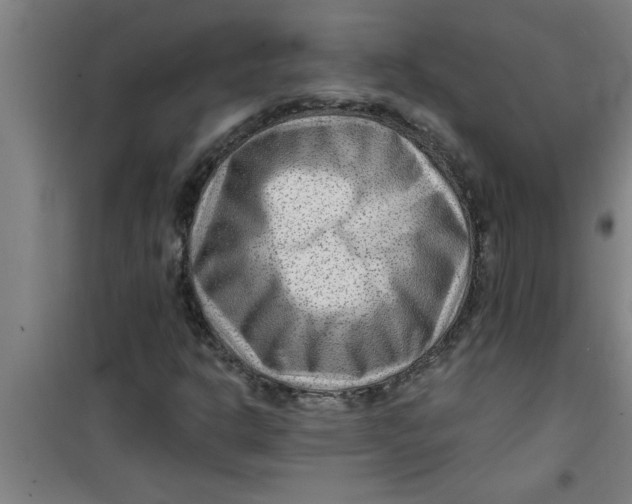 X0000099481302200805301610