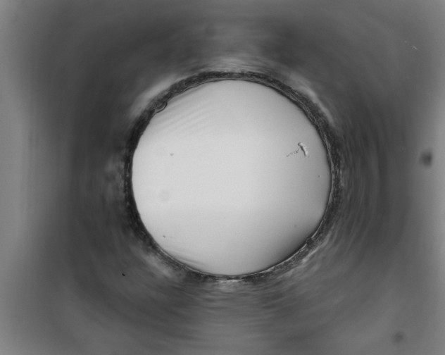 X0000099481304200805301610