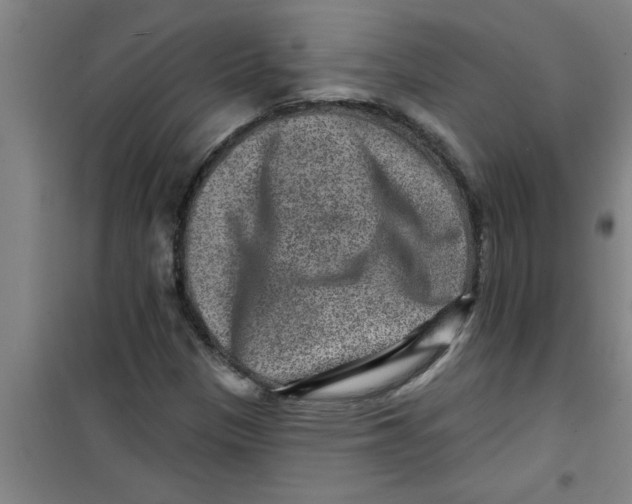 X0000099481305200805301610