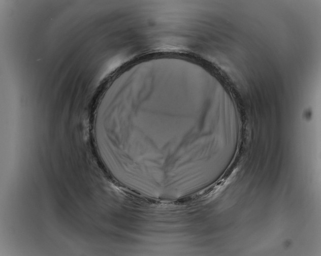 X0000099481306200805301610
