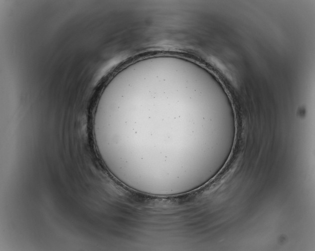 X0000099481307200805301610