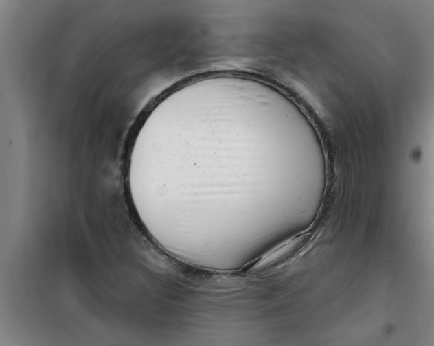 X0000099481308200805301610