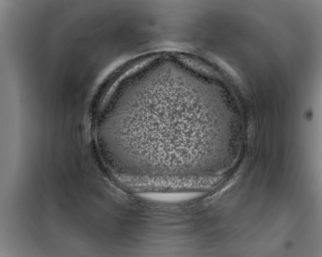 X0000099481310200805301610