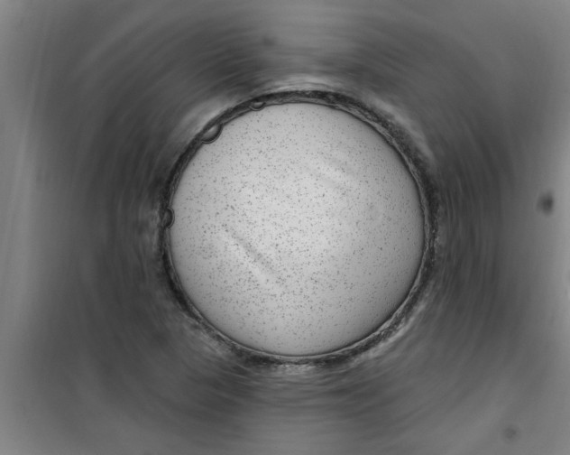 X0000099481313200805301610