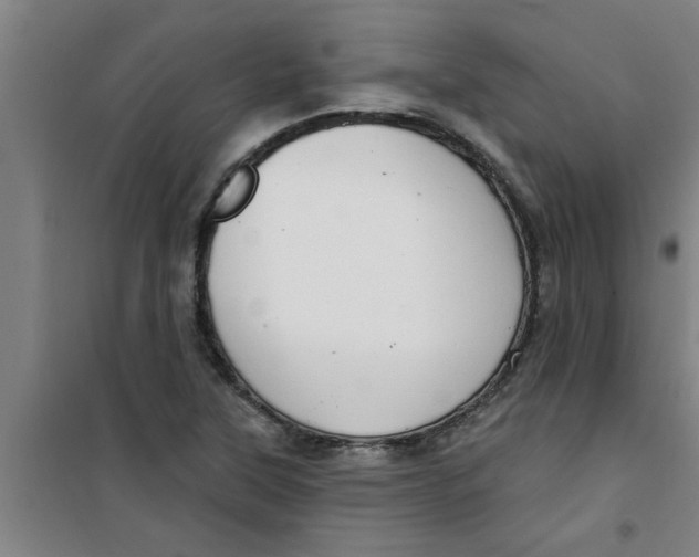 X0000099481315200805301610
