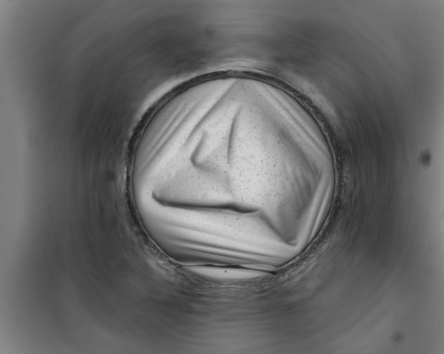 X0000099481316200805301610