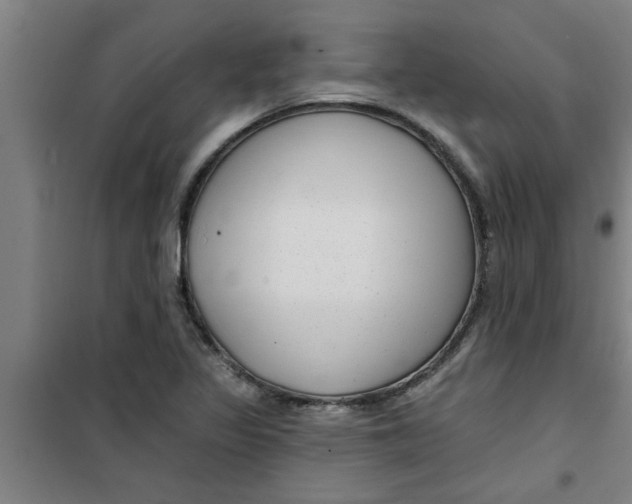 X0000099481317200805301610