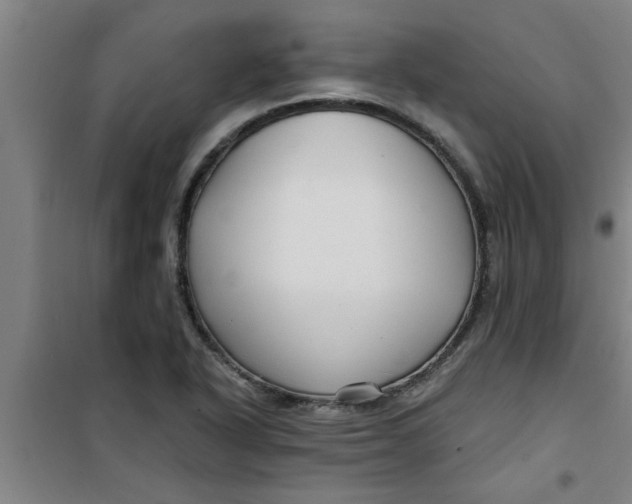 X0000099481318200805301610