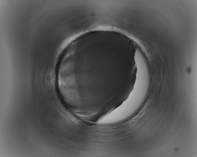 X0000099481319200805301610