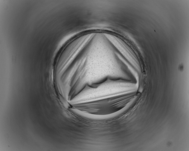 X0000099481320200805301610