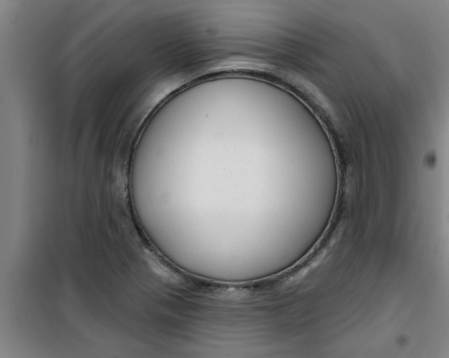 X0000099481321200805301610