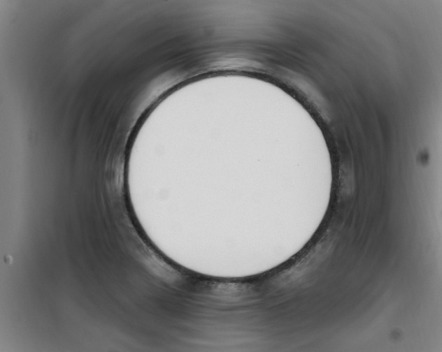 X0000099481322200805301610