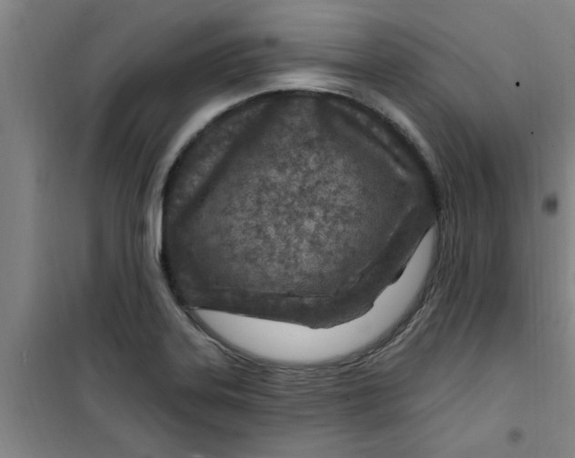 X0000099481323200805301610