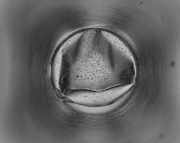X0000099481324200805301610