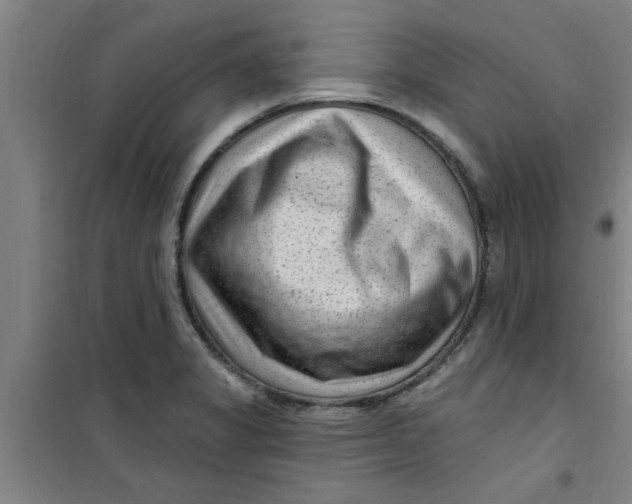 X0000099481325200805301610