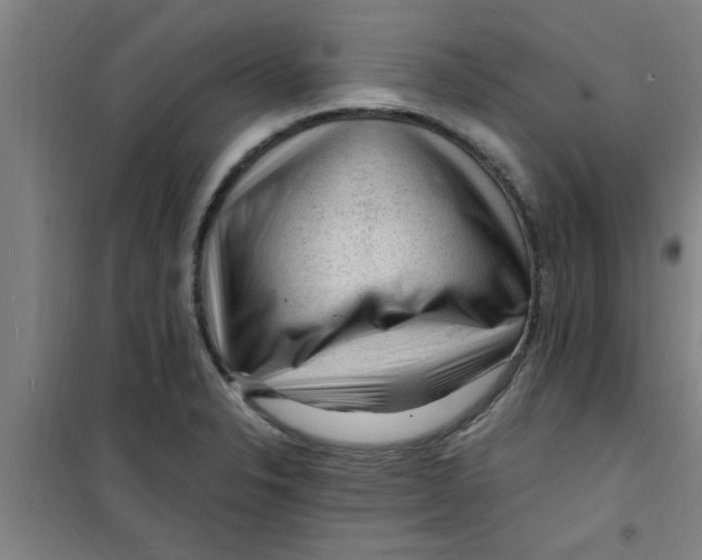 X0000099481326200805301610
