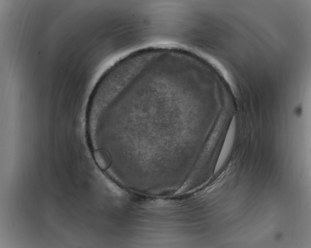 X0000099481327200805301610