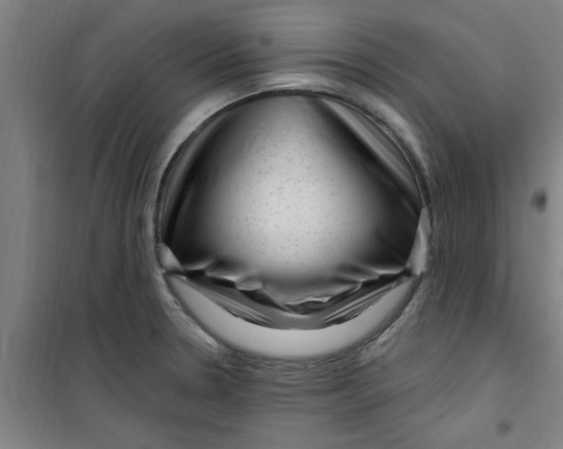 X0000099481330200805301610