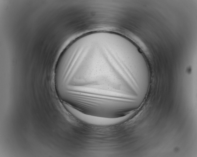 X0000099481332200805301610