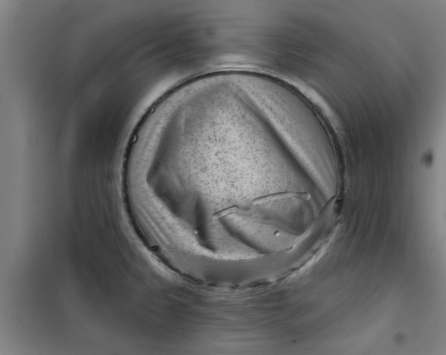 X0000099481333200805301610