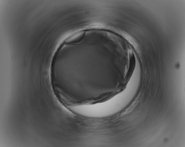X0000099481334200805301610