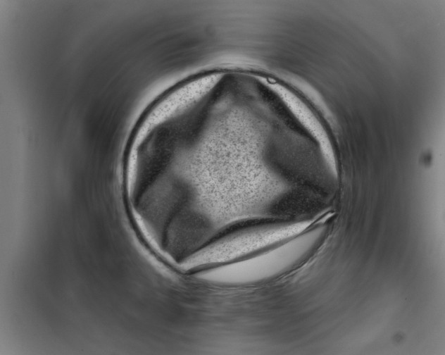 X0000099481335200805301610