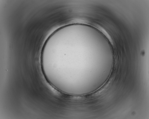 X0000099481339200805301610