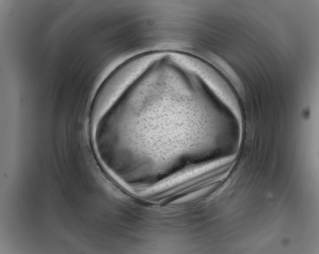 X0000099481340200805301610
