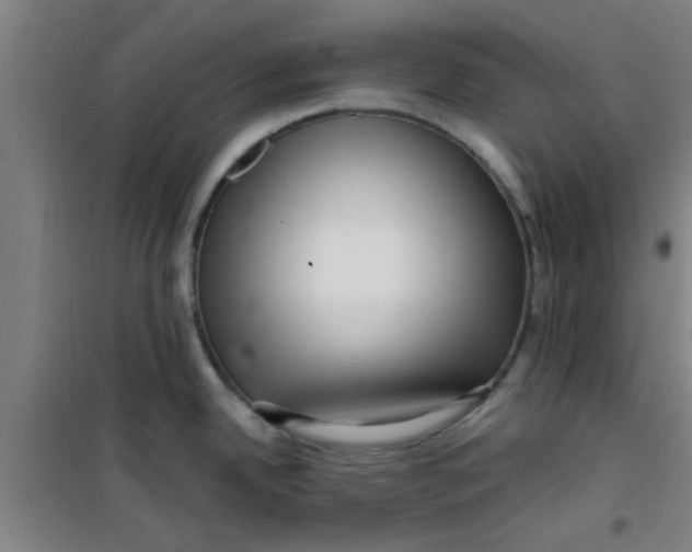 X0000099481342200805301610