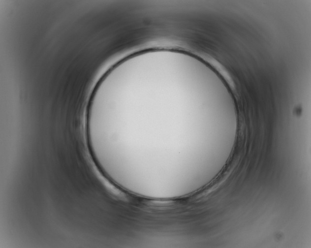 X0000099481343200805301610
