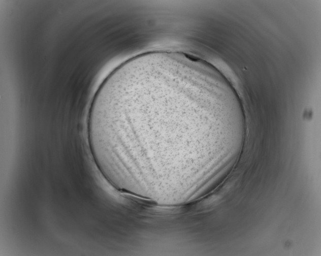 X0000099481344200805301610