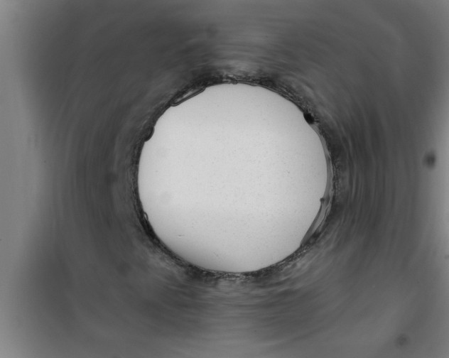 X0000099481345200805301610