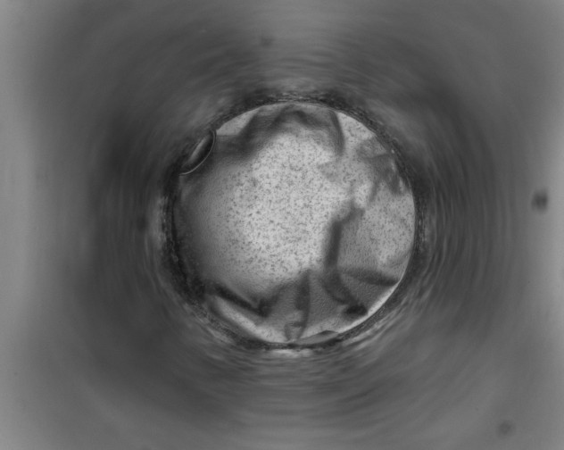 X0000099481346200805301610