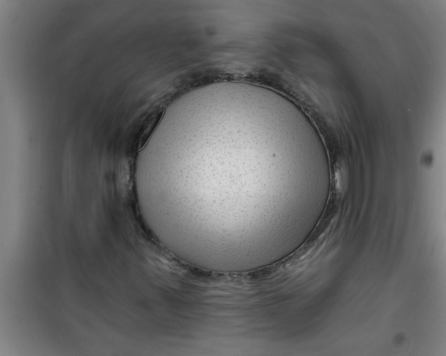 X0000099481347200805301610