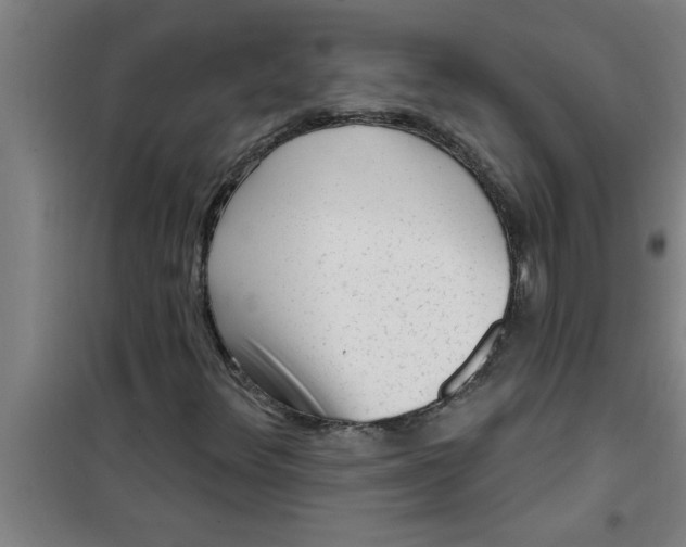 X0000099481348200805301610