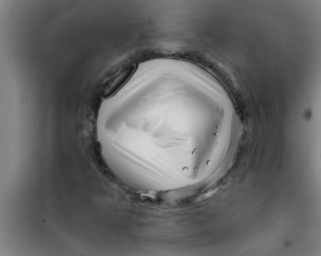 X0000099481349200805301610