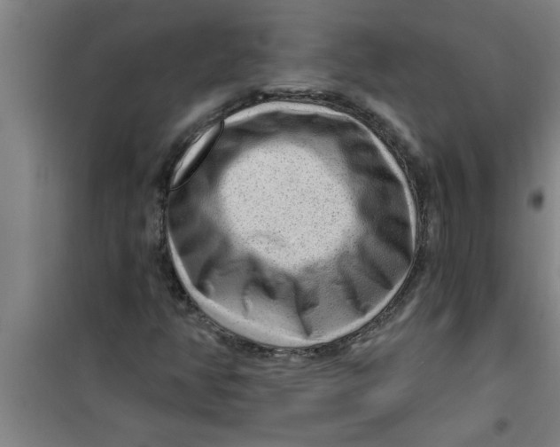 X0000099481350200805301610