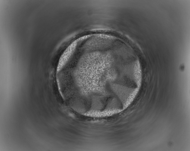X0000099481351200805301610