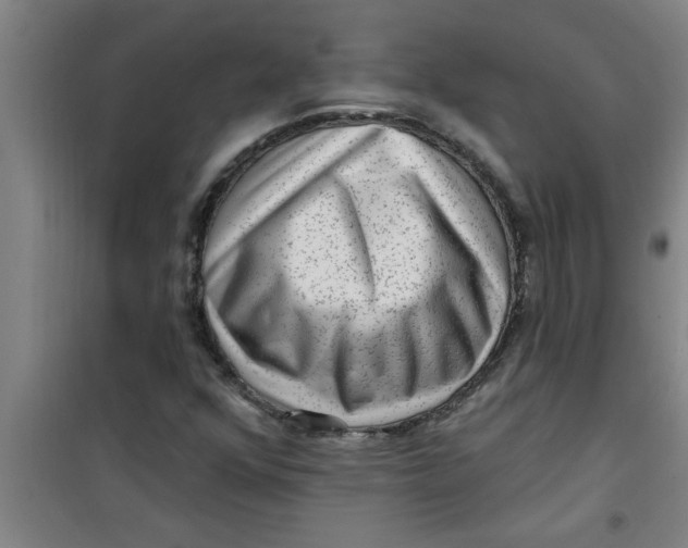X0000099481352200805301610