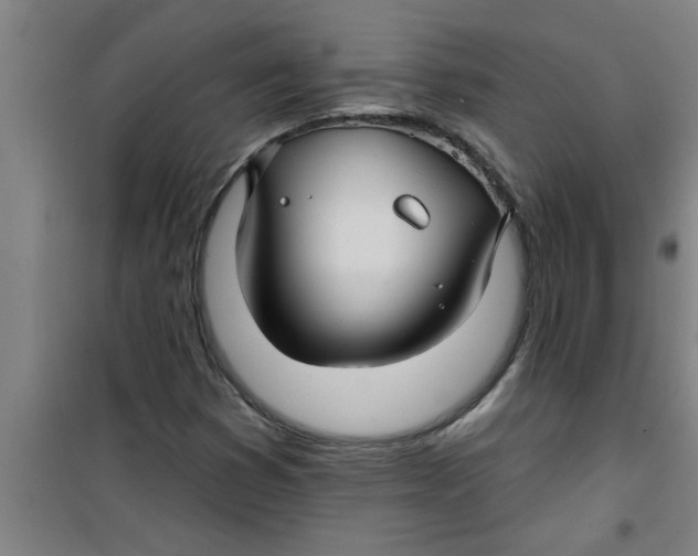 X0000099481353200805301610