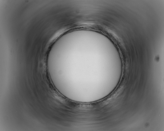 X0000099481354200805301610