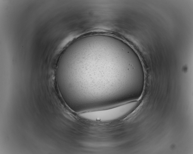 X0000099481355200805301610