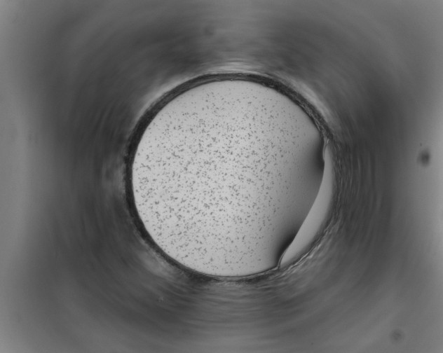 X0000099481356200805301610