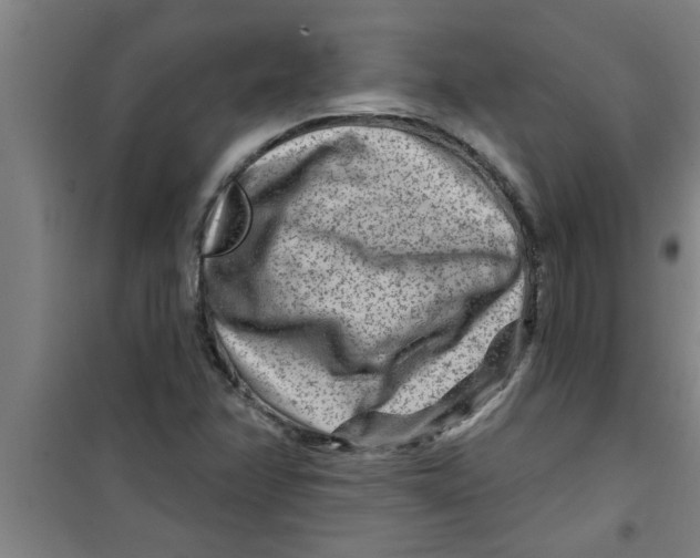 X0000099481358200805301610