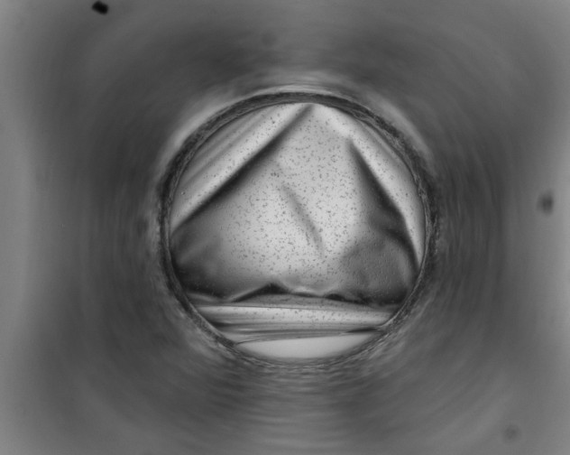 X0000099481360200805301610