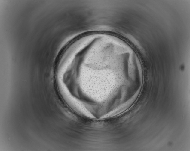 X0000099481364200805301610