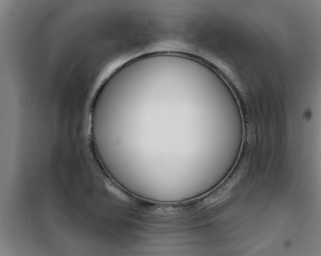 X0000099481366200805301610